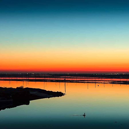 Apartments In Rosolina Mare 25119 Bagian luar foto
